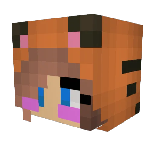 WolfyPoo69 Minecraft avatar head, 3D render