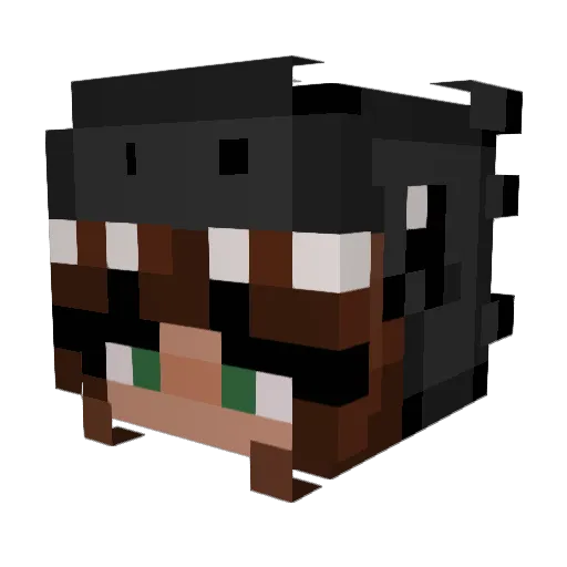 WolfyRose196 Minecraft avatar head, 3D render