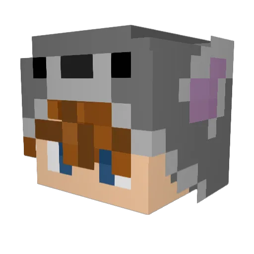 WolfyTarb Minecraft avatar head, 3D render