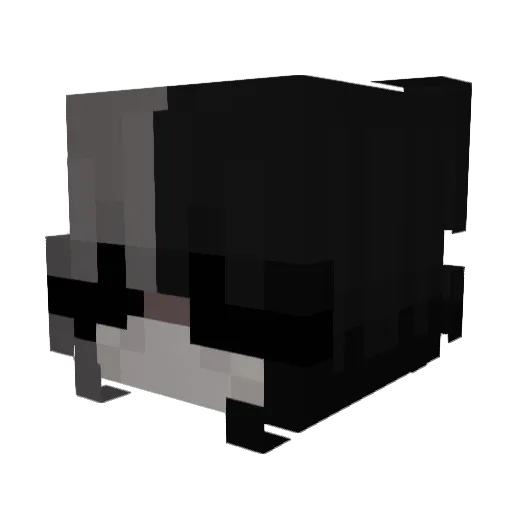 Wolfy_Boi666 Minecraft avatar head, 3D render