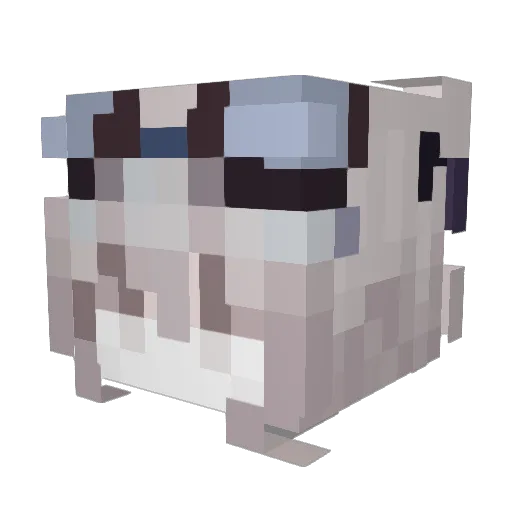 Wolfy_ly23 Minecraft avatar head, 3D render
