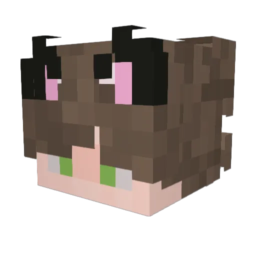 WolfysLuckyBlock Minecraft avatar head, 3D render