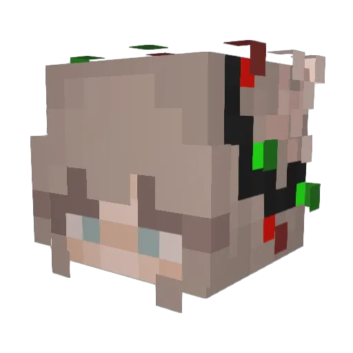 Wolfzoe Minecraft avatar head, 3D render