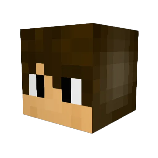 Wolife Minecraft avatar head, 3D render