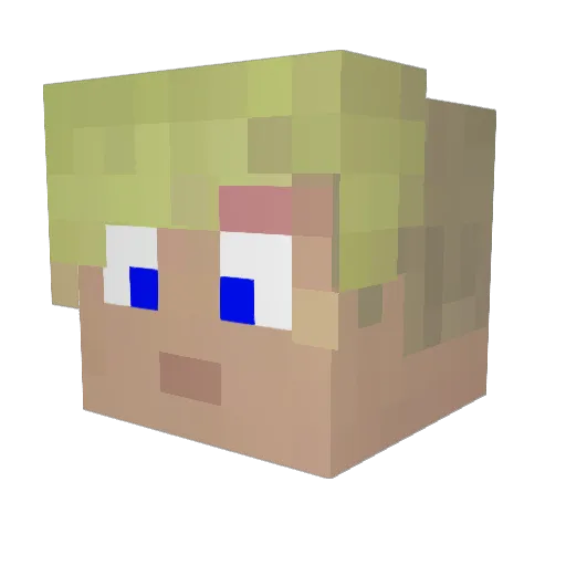 WolkeJr Minecraft avatar head, 3D render