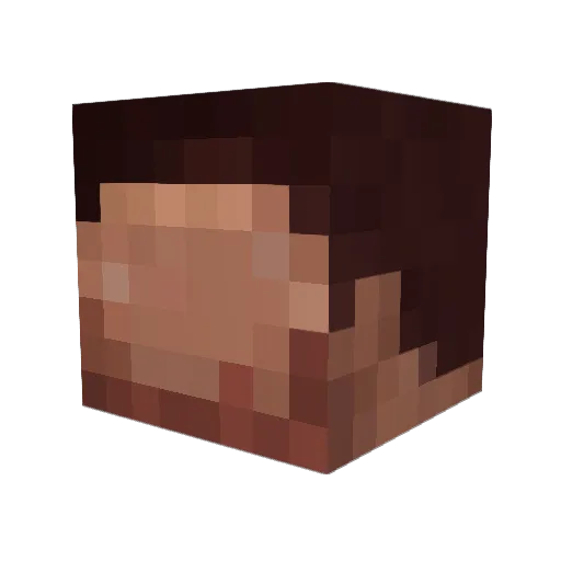 Wolking87 Minecraft avatar head, 3D render