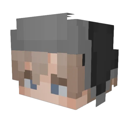 WollandxD Minecraft avatar head, 3D render