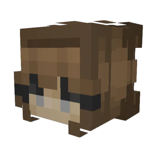 Wolletje24 Minecraft avatar head, 3D render