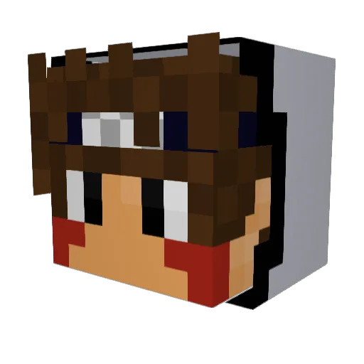 Wollf_300 Minecraft avatar head, 3D render