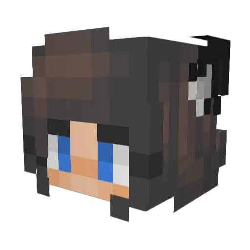 Wollfy_Player Minecraft avatar head, 3D render