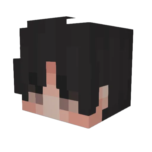 Wolllah Minecraft avatar head, 3D render