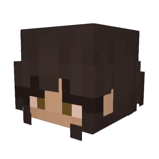 Wolllfff Minecraft avatar head, 3D render