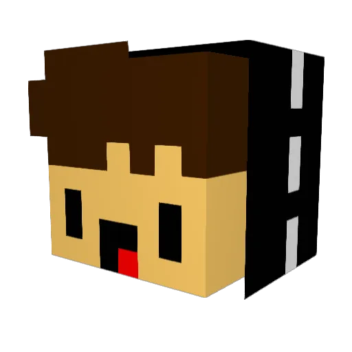 Wollnie_Like Minecraft avatar head, 3D render