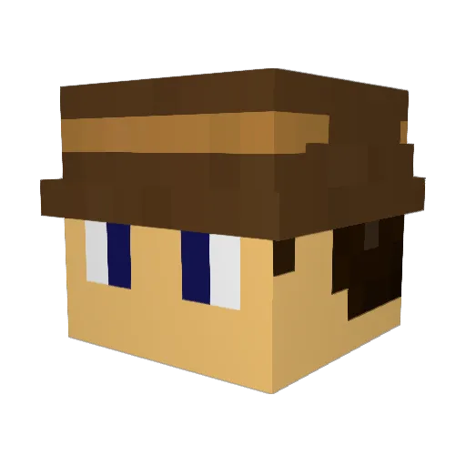 Wollongong Minecraft avatar head, 3D render