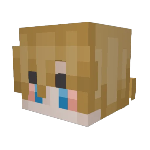 Wollpoll Minecraft avatar head, 3D render