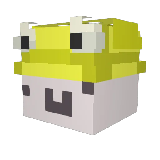 Wols89 Minecraft avatar head, 3D render