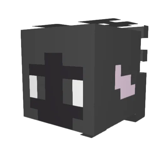 WolsinTheMomDoer Minecraft avatar head, 3D render