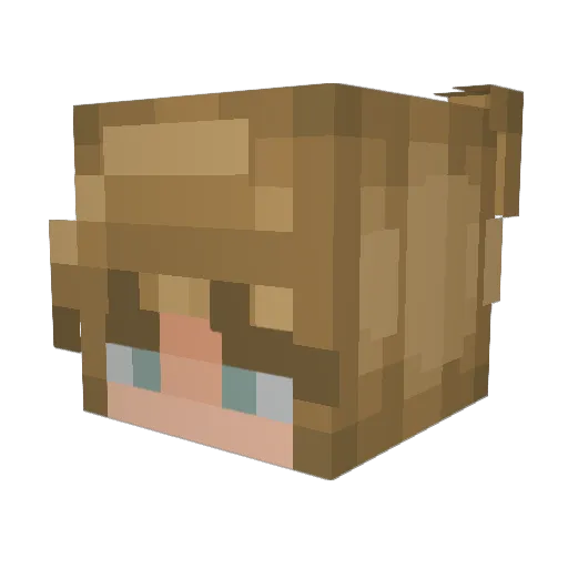WolterKID Minecraft avatar head, 3D render