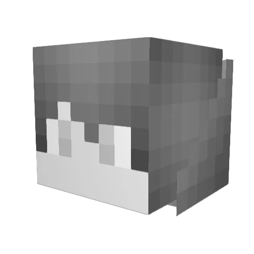 Woltronable2013 Minecraft avatar head, 3D render