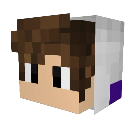 Wolveriine98 Minecraft avatar head, 3D render