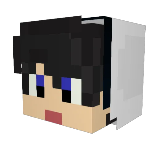 Wolverine_Taken Minecraft avatar head, 3D render