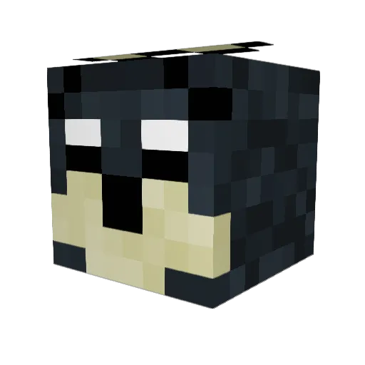 Wolves123123 Minecraft avatar head, 3D render
