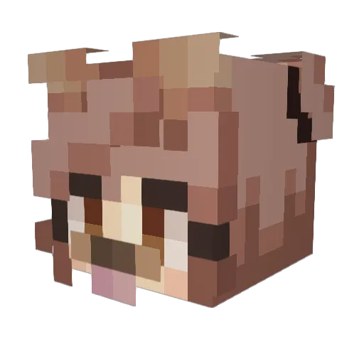 WolvesAndOwls Minecraft avatar head, 3D render