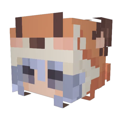 WolvesOfRazgriz Minecraft avatar head, 3D render
