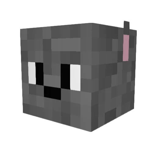 WolvesRock999 Minecraft avatar head, 3D render