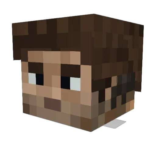 Wolvfer Minecraft avatar head, 3D render