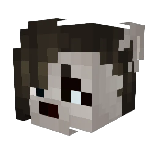 Wolvhz Minecraft avatar head, 3D render