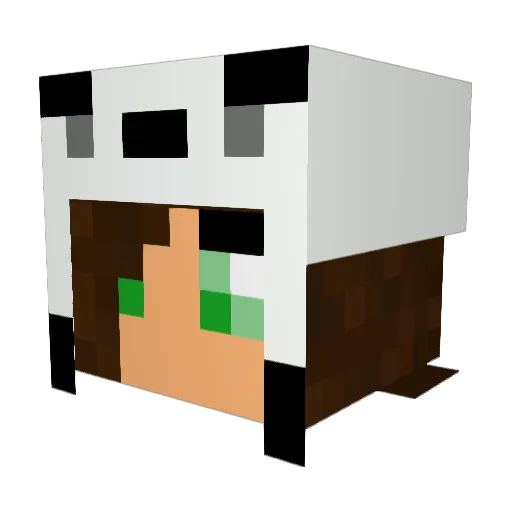 Womanfactory Minecraft avatar head, 3D render