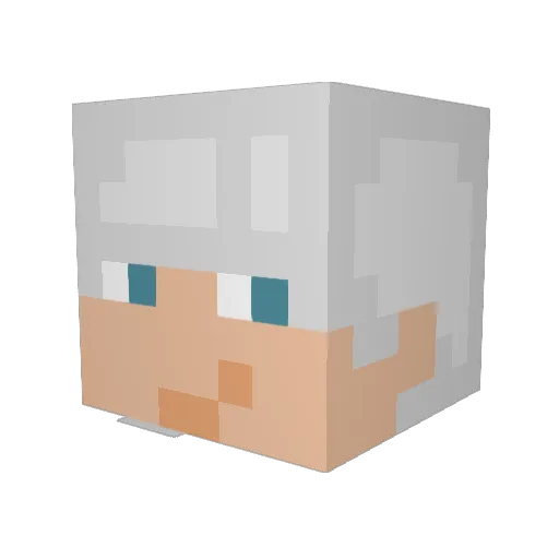 WombSlayer Minecraft avatar head, 3D render