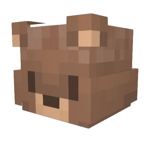 Wombaldo Minecraft avatar head, 3D render