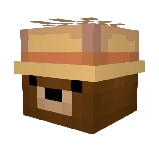 Wombat0017 Minecraft avatar head, 3D render