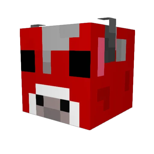 Wombat881 Minecraft avatar head, 3D render