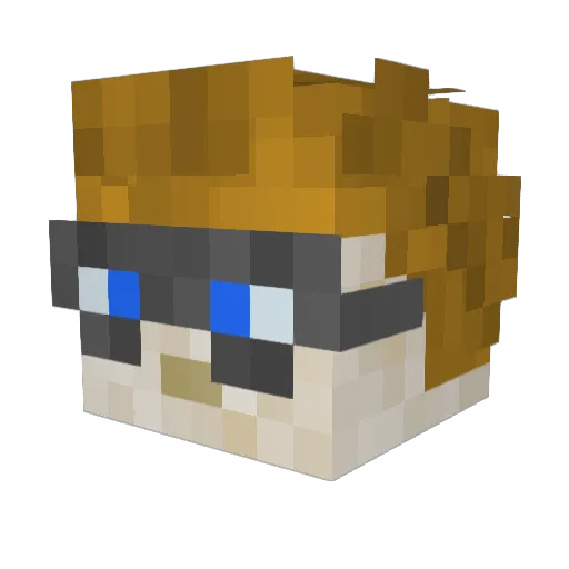 WombatProduction Minecraft avatar head, 3D render