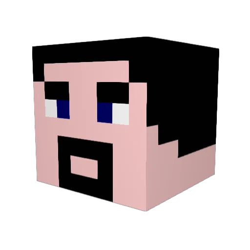 WombatSmuggler Minecraft avatar head, 3D render