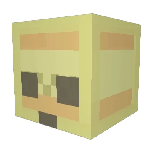 Wombat_90 Minecraft avatar head, 3D render