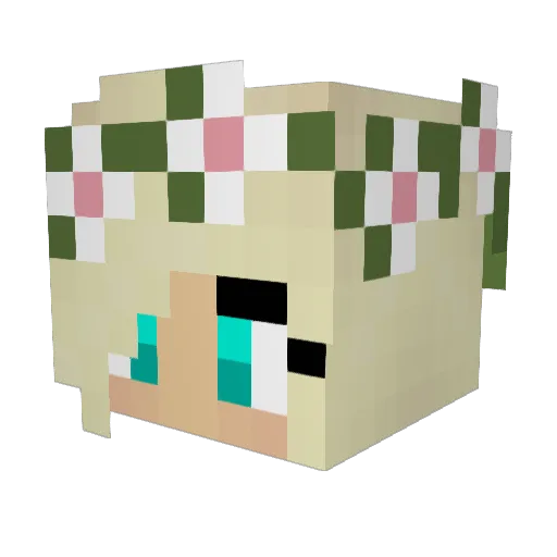 Womble182 Minecraft avatar head, 3D render