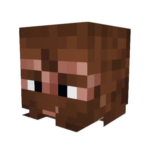 WomboCombo007 Minecraft avatar head, 3D render