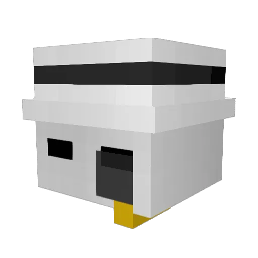WomboSan Minecraft avatar head, 3D render