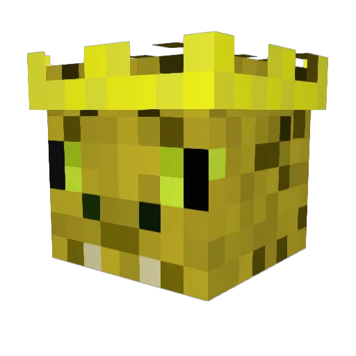 Wombologist Minecraft avatar head, 3D render