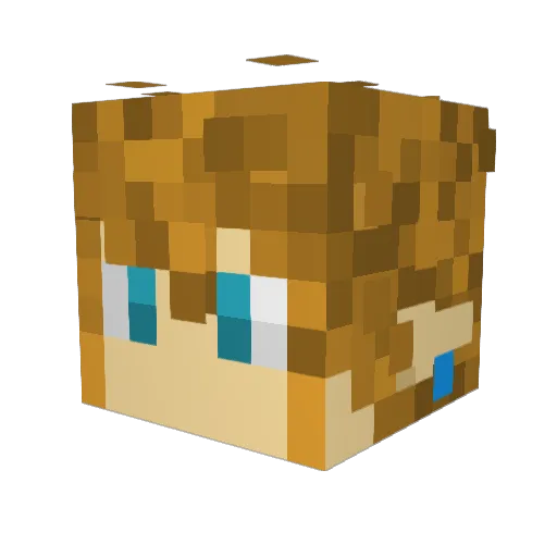 Wommoks97 Minecraft avatar head, 3D render