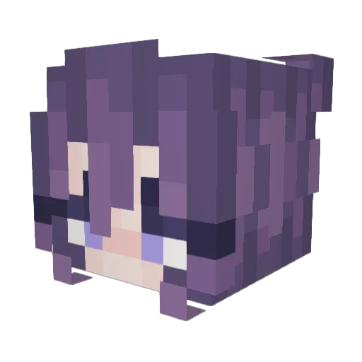 WompWomp312 Minecraft avatar head, 3D render