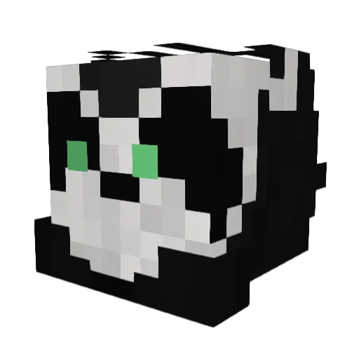Wompuss_Jim Minecraft avatar head, 3D render