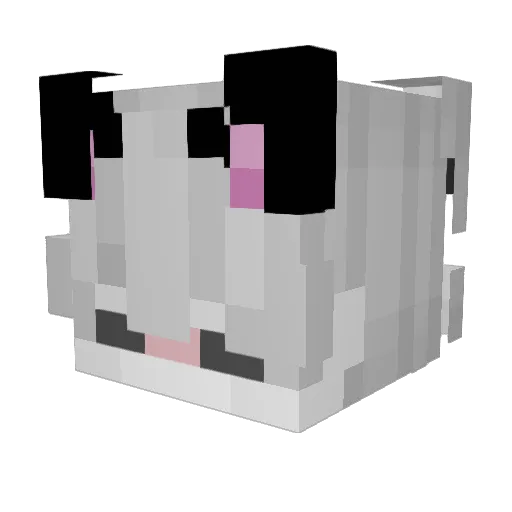 Won0Ton Minecraft avatar head, 3D render