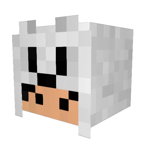 WonHal Minecraft avatar head, 3D render