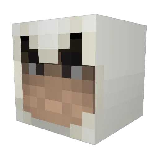 WonTonShawn Minecraft avatar head, 3D render