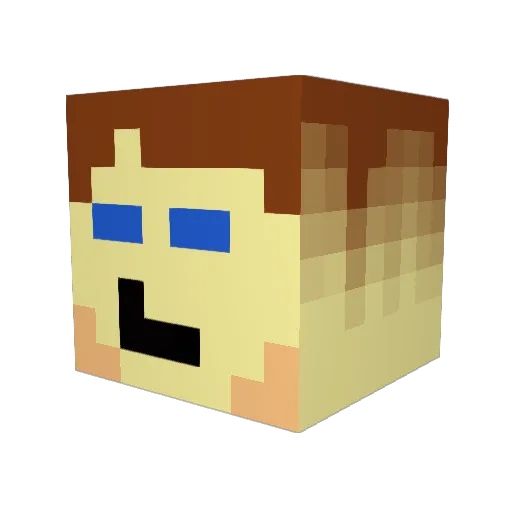 Wonas35 Minecraft avatar head, 3D render